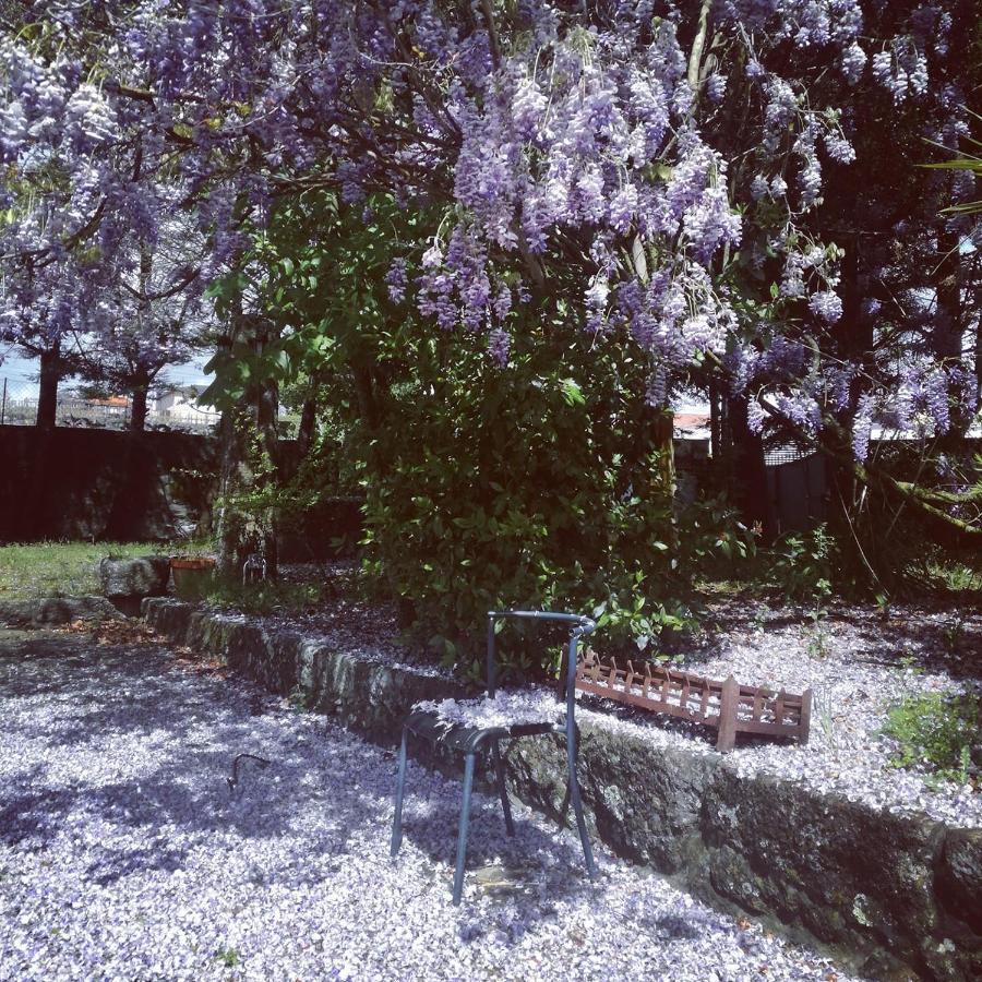 Figueiro Casa Da Costeiraヴィラ エクステリア 写真