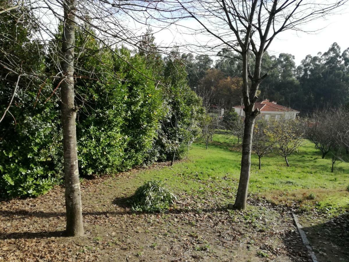 Figueiro Casa Da Costeiraヴィラ エクステリア 写真