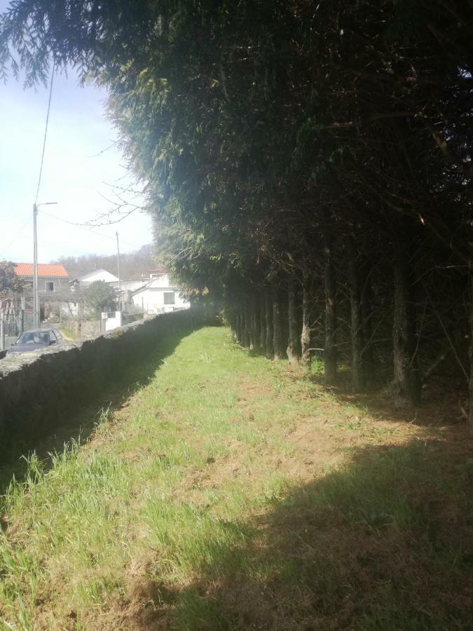 Figueiro Casa Da Costeiraヴィラ エクステリア 写真